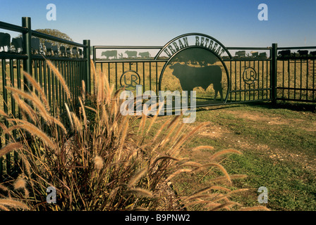 Kundenspezifische Ranch Tor in der Nähe von Chappell Hill in Washington County Texas USA Stockfoto