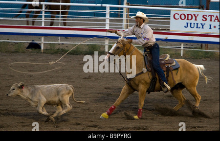 Roping Wettbewerb Cody Nite Rodeo Wyoming USA Stockfoto