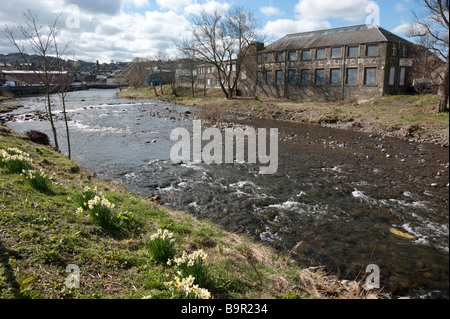 Der Fluß Teviot in Hawick Scottish Borders UK Stockfoto