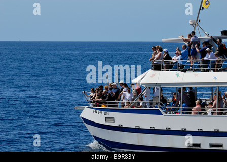 Die Exciment unter den Touristen auf dem Delphin Suche Boot. Puerto Rico, Gran Canaria, Kanarische Inseln, Spanien, Europa. Stockfoto