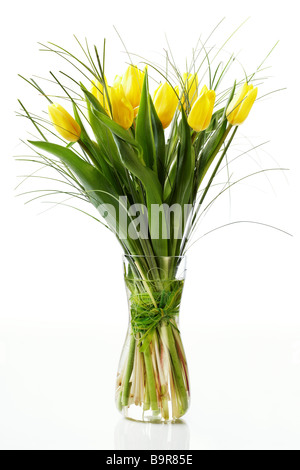 Reihe von Tulpen, gelb, in der vase Stockfoto