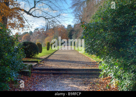 Clumber Park, Boulevard Stockfoto