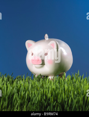 Piggy Bank in Grass mit Münze Geld und blauer Himmel Stockfoto