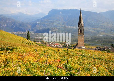 die Kirche von St. Quirikus und Quiricus in Tramin Termeno Sulla Strada del Vino mit dem höchsten Kirchturm 86m Trentino Italien Stockfoto