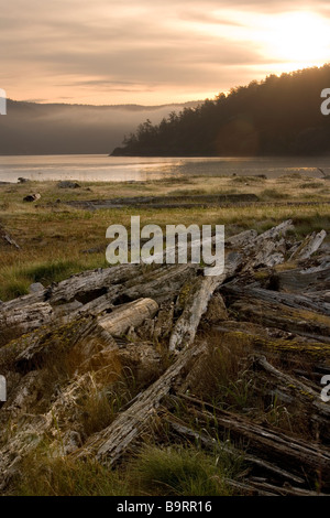 Blick von Spencer spucken State Park - Lopez Island, Washington Stockfoto