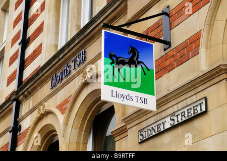 Lloyds TSB Bank in Sidney Street Cambridge England Uk Stockfoto