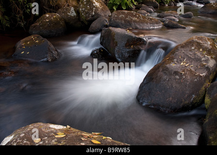 Ein kleiner Wasserfall auf einen Stream in Zomba Plateau bei einer langsamen Verschlusszeit fotografiert Stockfoto