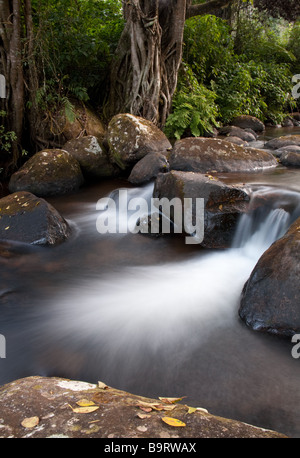 Ein kleiner Wasserfall auf einen Stream in Zomba Plateau bei einer langsamen Verschlusszeit fotografiert Stockfoto