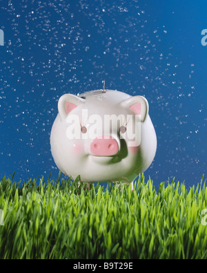 Piggy Bank in Grass mit Münze Geld wird mit Wasser besprüht Stockfoto