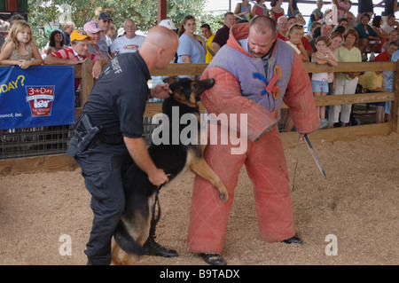 State Troopers zeigen einen Polizeihund Festnahme eines Verbrechers im Dutchess County Fair in Rhinebeck, New York Stockfoto