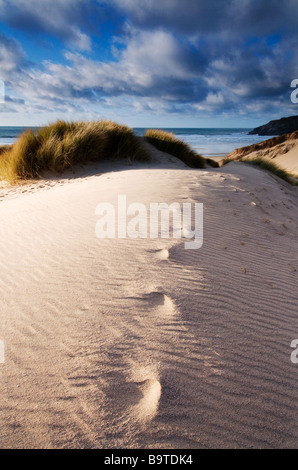 Sanddünen in Holywell Bay North Cornwall Stockfoto