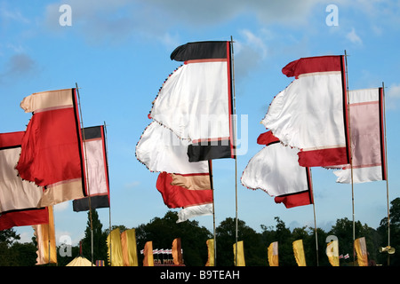 Flaggen auf dem Display an Lloyd Park Croydon Surrey Stockfoto