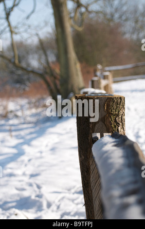 Zaunpfosten auf Wintertag Stockfoto