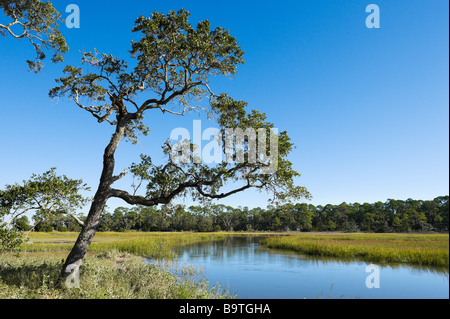 Creek Lodge Clam Picknick-Bereich, Jekyll Island, Georgia, USA Stockfoto