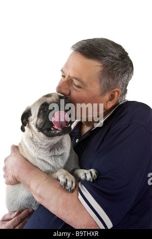 Reifer Mann hält ein Mops Hunde mit ihm s Zunge streckte isoliert auf weißem Hintergrund Stockfoto