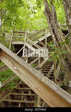 Holztreppe in Chimney Rock State Park, North Carolina Stockfoto