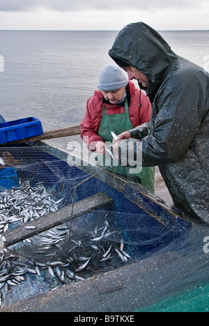 Fischer Fische aus den Netzen zu sammeln, nach einer Nacht arbeiten, Cape Kolca, Deutschland, Europa Stockfoto