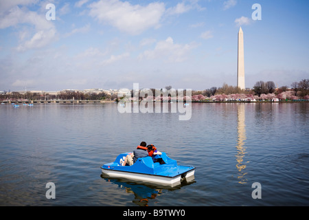 Tretboot auf dem Gezeiten-Bassin - Washington, DC USA Stockfoto