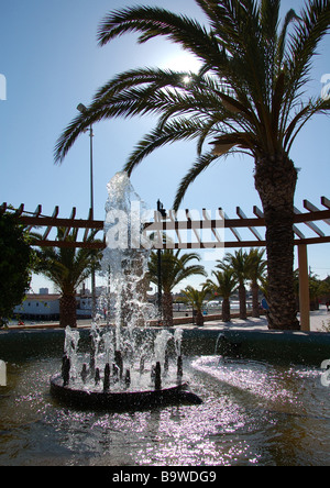 Brunnen und Palm Tree Santigo De La Ribera Spanien Stockfoto