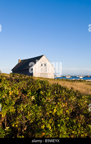 Bootshaus und Chatham Hafen Cape Cod MA Stockfoto