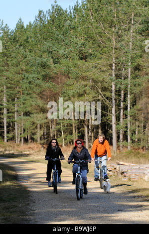 Radfahren entlang einer Landschaft Spur in den Mauren Valley Country Park und Wald East Dorset südlichen England Großbritannien Stockfoto