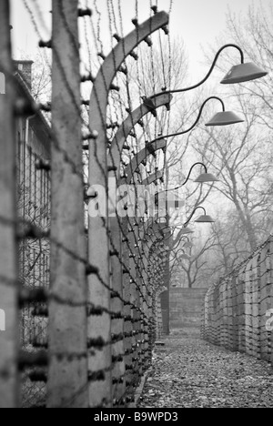 Ansichten des Auschwitz-Birkenau KZ, Polen, Europa Stockfoto