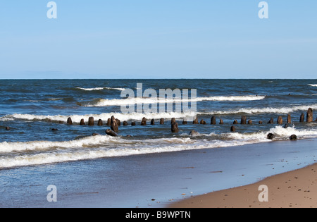 Pfähle stehen aus dem kalten Wasser des Lake Michigan Stockfoto