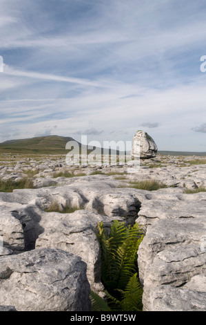 Findling vor Whernside, eines der drei Gipfel des Yorkshire, England, UK, Europa. Stockfoto