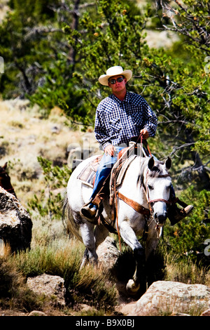 Cowboy-Hut führt Wrangler Cedar Mountain Trail Rides Cody Wyoming USA Stockfoto