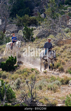 Cowboy-Hut führt Wrangler Cedar Mountain Trail Rides Cody Wyoming USA Stockfoto