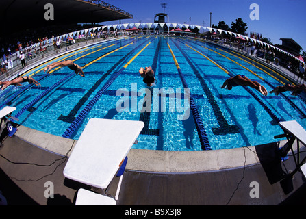 Frauen in den Pool tauchen ein Wettschwimmen starten Stockfoto