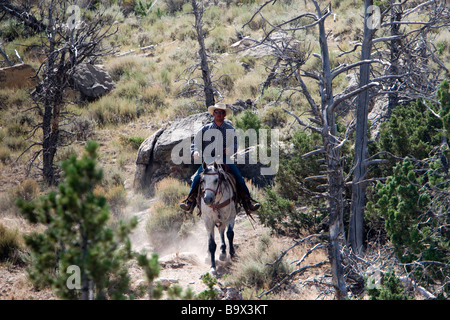 Cowboy-Hut führt Wrangler Cedar Mountain Trail Rides Cody Wyoming USA Stockfoto