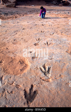 Fossilen Dinosaurier-Spuren in der Painted Desert in der Nähe von Cameron Navajo Indian Reservation Arizona ausgesetzt Stockfoto