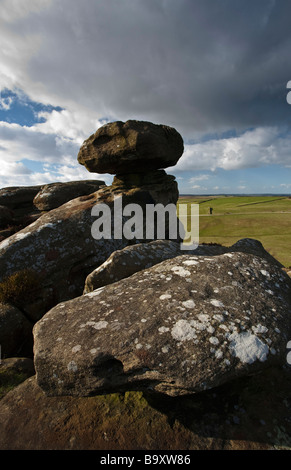 Brimham Rocks in der Nähe von Ripon North Yorkshire Teil des Bereichs Nidderdale von außergewöhnlicher natürlicher Schönheit Stockfoto