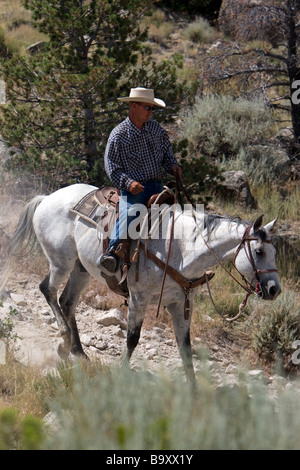 Cowboy-Hut führt Wrangler Cedar Mountain Trail Rides Cody Wyoming USA Stockfoto