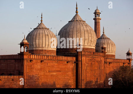 Kuppeln der Jama Masjid oder Freitagsmoschee in Alt-Delhi Indien Stockfoto