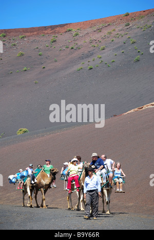 Kamel reitet, Nationalpark Timanfaya, Lanzarote, Kanarische Inseln, Spanien Stockfoto