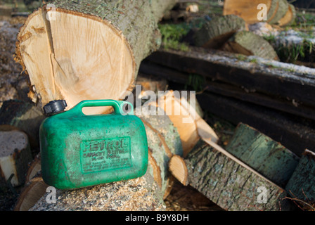 BENZINKANISTER AUF GEFÄLLTEN LINDE Stockfoto