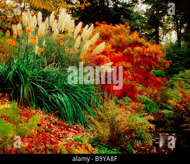 Mount Stewart, Co Down, Irland; Kniphofia und Pampasgras im 18. Jahrhundert National Trust-Eigenschaft Stockfoto