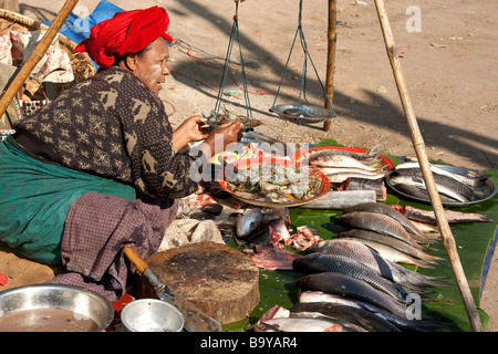 Weibliche Anbieter an einem frischen Fisch stand, Aungban Markt, Shan State in Myanmar (Burma) Stockfoto