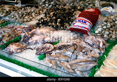 Squid, Oktopus und Muscheln an der Wharf, a Waterfront Meeresfrüchte Lieferanten angezeigt Stockfoto