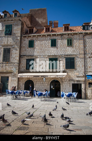 Tauben in Gunduliceva Poljana, ein Quadrat in alte Stadt Dubrovnik, Kroatien Stockfoto