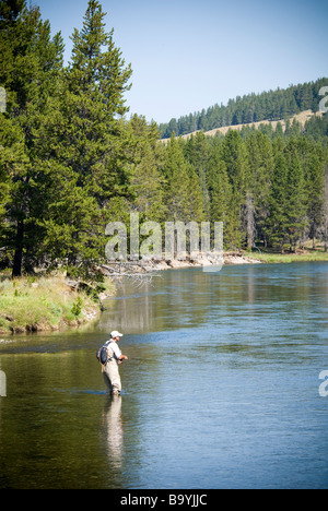 Fliegenfischer auf dem Yellowstone River Stockfoto