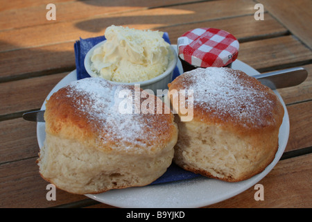 Cornish Cream Tea, Scones und Clotted Cream Stockfoto