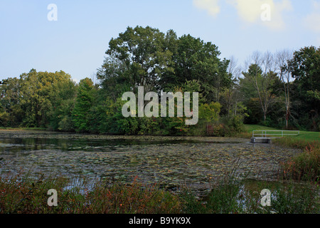 Herbstlicher Teich amerikanische ländliche Landschaft mit bunten Blättern und Reflexionen auf einer Teichoberfläche von oben in Michigan USA Hi-res Stockfoto