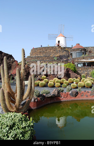 Jardin de Cactus, Guatiza, Lanzarote, Kanarische Inseln, Spanien Stockfoto