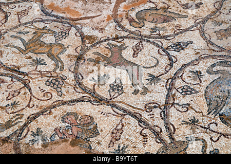 Figurative antike Bodenmosaik Darstellung Vögel in Caesarea Nationalpark Israel Stockfoto