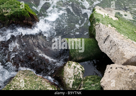 Häusliches Abwasser Abfall gießt in das Mittelmeer in Tel Aviv Strand Israel Stockfoto