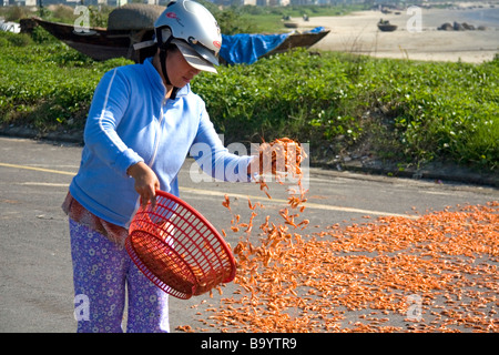 Garnelen auf einem Parkplatz in der Nähe der Hafen von Da Nang Vietnam getrocknet wird Stockfoto