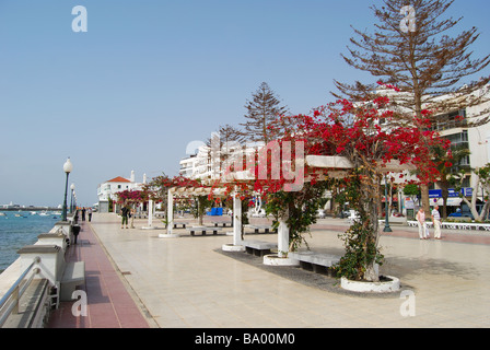 Uferpromenade, Blas Cabrera Filipe, Arrecife, Lanzarote, Kanarische Inseln, Spanien Stockfoto